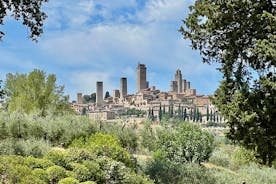 Siena and San Gimignano Tour from Florence