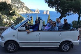 カプリ島と青の洞窟のプライベート ツアー ナポリ イタリア