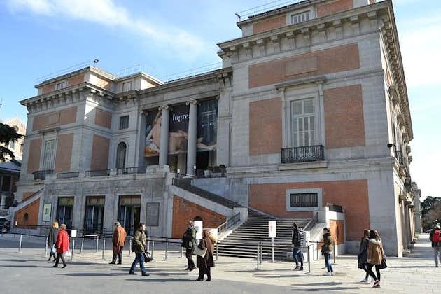 Madrid guidad privat rundtur: Prado, Thyssen-Bornemisza eller Reina Sofia Museum