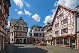Mainz Private Walking Tour With A Professional Guide