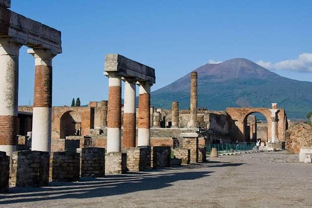 Pompeii Ruins & Wine Tasting with Lunch on Vesuvius with Private Transfer