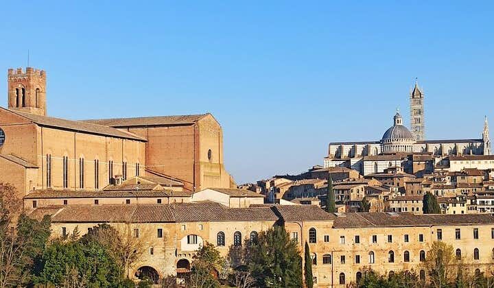 PRIVATE TOUR: Sweet Hills of Chianti & Siena + Lunch & 2 Tastings