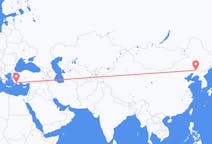 Flyreiser fra Shenyang, Kina til Dalaman, Tyrkia
