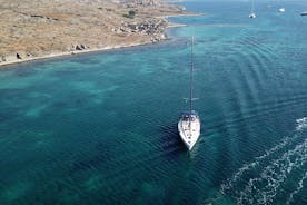 Visite tout compris des îles Delos et Rhenia jusqu'à 12 personnes (transport gratuit)