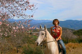 Alanya Cabalgata de 3 horas a caballo