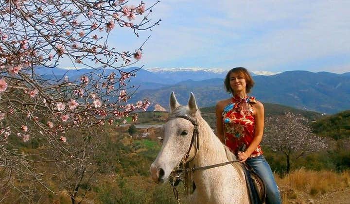 Alanya Cabalgata de 3 horas a caballo