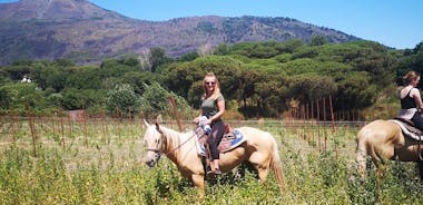 Paardrijden op de Vesuvius