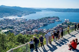 Privat guidad tur - Bergen City Sightseeing - 8 topprankade attraktioner