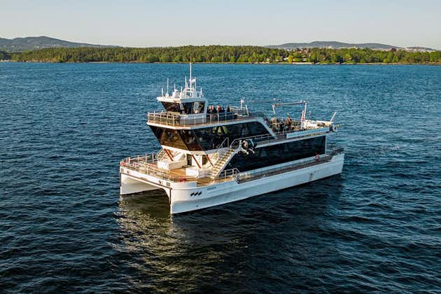 Crucero guiado por el fiordo de Oslo en catamarán eléctrico silencioso