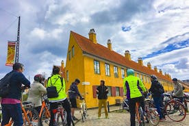 코펜하겐 1.5 시간 도시 하이라이트 자전거 여행