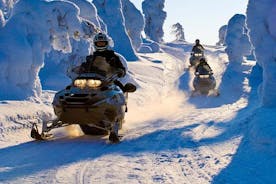 Safari de motos de nieve en Laponia desde Levi