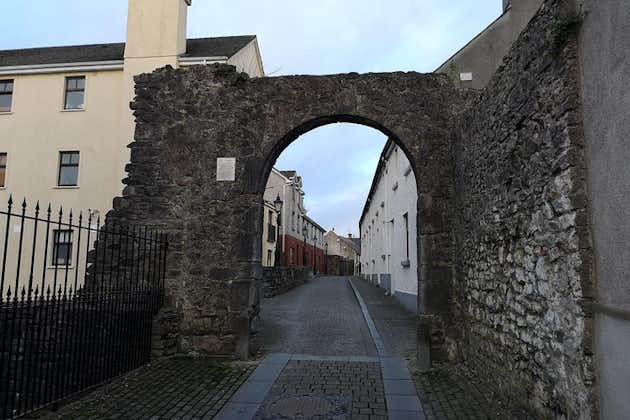 Visite historique de Kilkenny en français. 