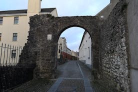 Visite historique de Kilkenny en français. 