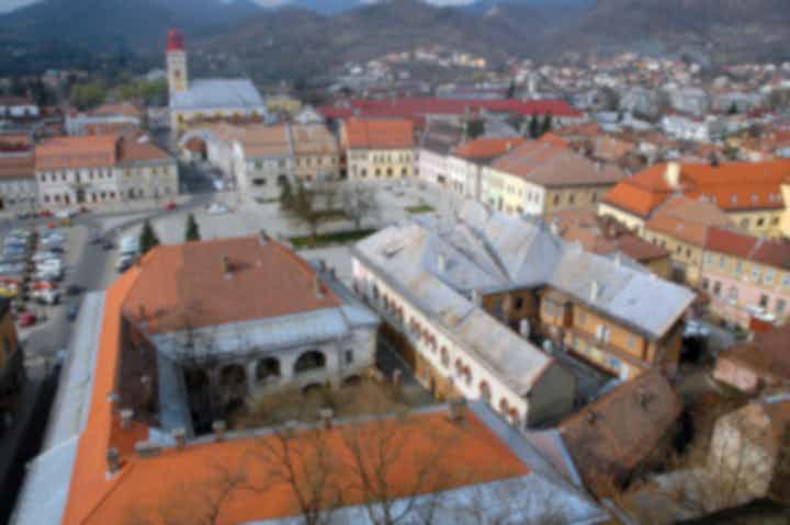 Flights from Pittsburgh to Baia Mare