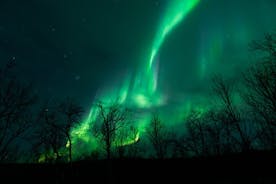 Il tour dell'aurora boreale più lungo a Kiruna con cena