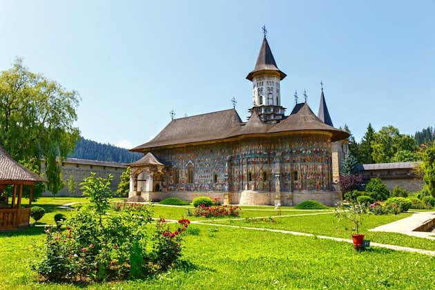 6-dages Transsylvanien og UNESCO Bucovina Painted Monasteries Tour fra Bukarest