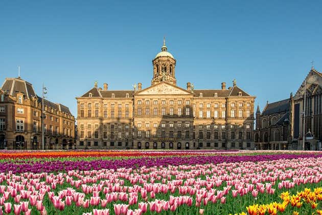 Spring køen over Royal Palace of Amsterdam Privat guidet tur