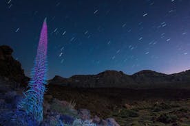 Mount Teide Night Tour: Stargazing, Dinner and Hotel Pick up