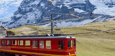 Jungfraujoch (Private Daily Tour )