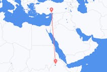 Flyrejser fra Gonder, Etiopien til Adana, Tyrkiet