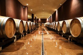 Lago de Garda: tour del vino y experiencia de degustación en el área de Bardolino