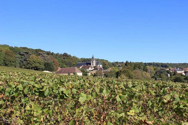 Private Full-Day Tour of Champagne Region