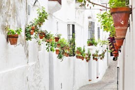 *Privat dagsutflykt* från Jerez: Andalusiens vita städer