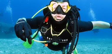 Athens Scuba Diving Experience for Certified Divers with pick up