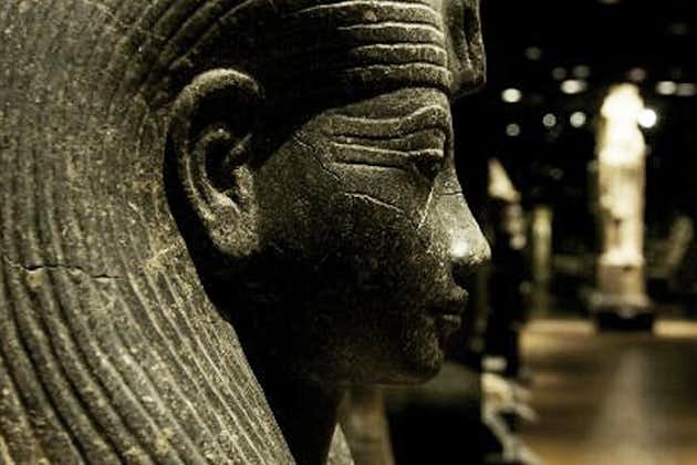 Demi-journée de Milan: découvrez Turin et la visite privée du musée égyptien