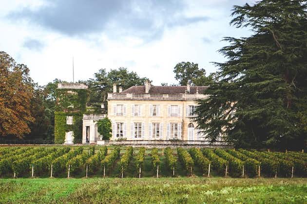 Chateau du Taillan和Park包括品酒之旅