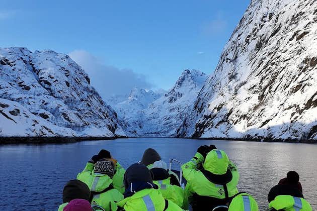 Trollfjord and Sea Eagle Boat Tour from Svolvaer