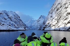 Trollfjord- und Seeadlersafari-Tour ab Svolaer