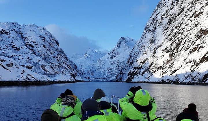 Trollfjord and Sea Eagle Boat Tour from Svolvaer