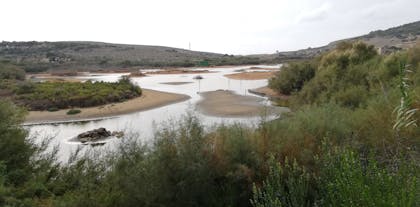 Għadira Nature Reserve