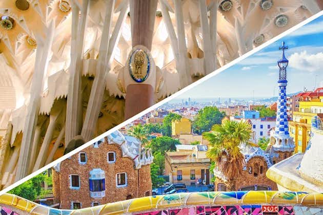 Evite las colas: Visita al Parque Güell y La Sagrada Familia en Barcelona