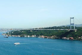 Bus og båd Combo Tour: Bosporus-krydstogt og bybustur med turguide