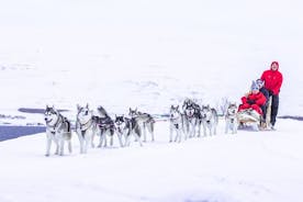 Trenós puxados por cães privados em Akureyri