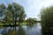 Harnham Water Meadows, Salisbury, Wiltshire, South West England, England, United Kingdom