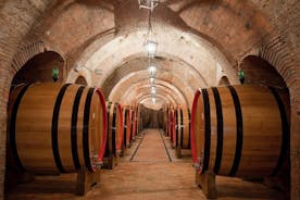 Montepulciano: Winery Tour & Tasting Experience