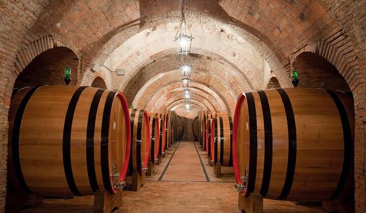 Montepulciano: Winery Tour & Tasting Experience