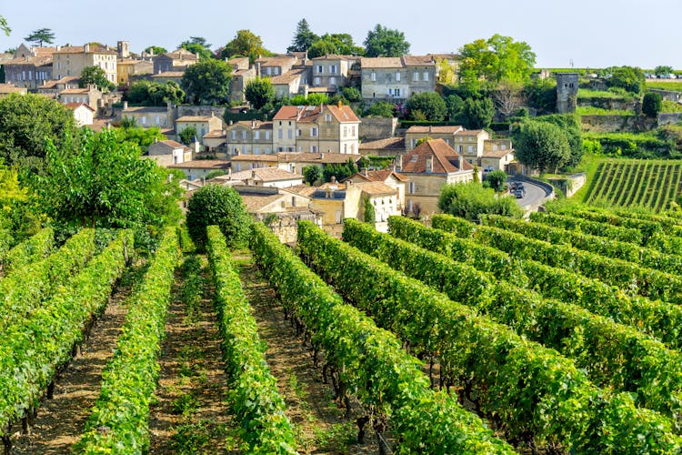 Photo of vineyards of Saint Emilion village in Bordeaux region, France.