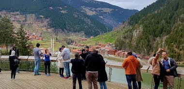 Uzungol Tour: Heldags naturäventyr med besök på tefabriken