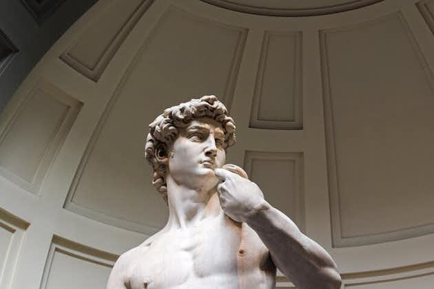 Visita turística a Florencia con opciones Evite las colas a la Galería de la Academia y la Galería de los Uffizi