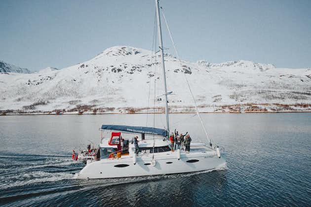 Crociera sul fiordo artico e safari a Tromso con catamarano di lusso