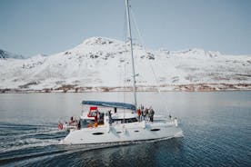 Crociera sul fiordo artico e safari a Tromso con catamarano di lusso