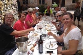 Experiência de degustação de vinhos e tapas em Valência