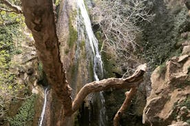 Cascada de Richtis, historia minoica, árbol más antiguo, costa norte (aventura de lujo)