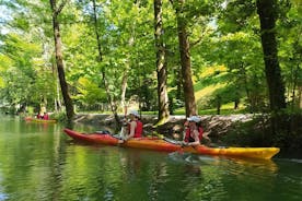 Excursión guiada en kayak para descubrir el lago Endine