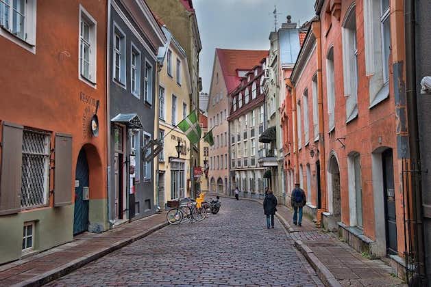 Excursion privée à terre: tous les points forts de Tallinn (marche et conduite)