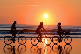 Visite guidée en vélo électrique au coucher du soleil ou le matin : Maspalomas et Meloneras